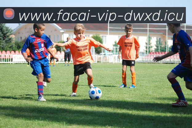 MK体育注册服务体系