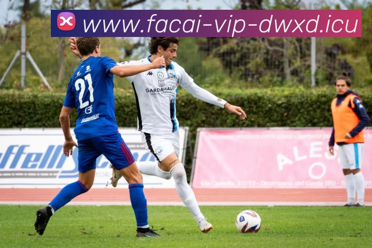 MK体育注册APP 体育赛事宣传图